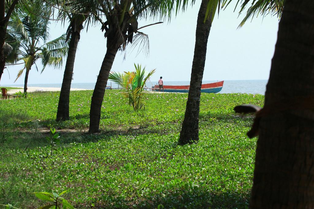 Marari Nest Beach Homestay Mararikulam Ngoại thất bức ảnh