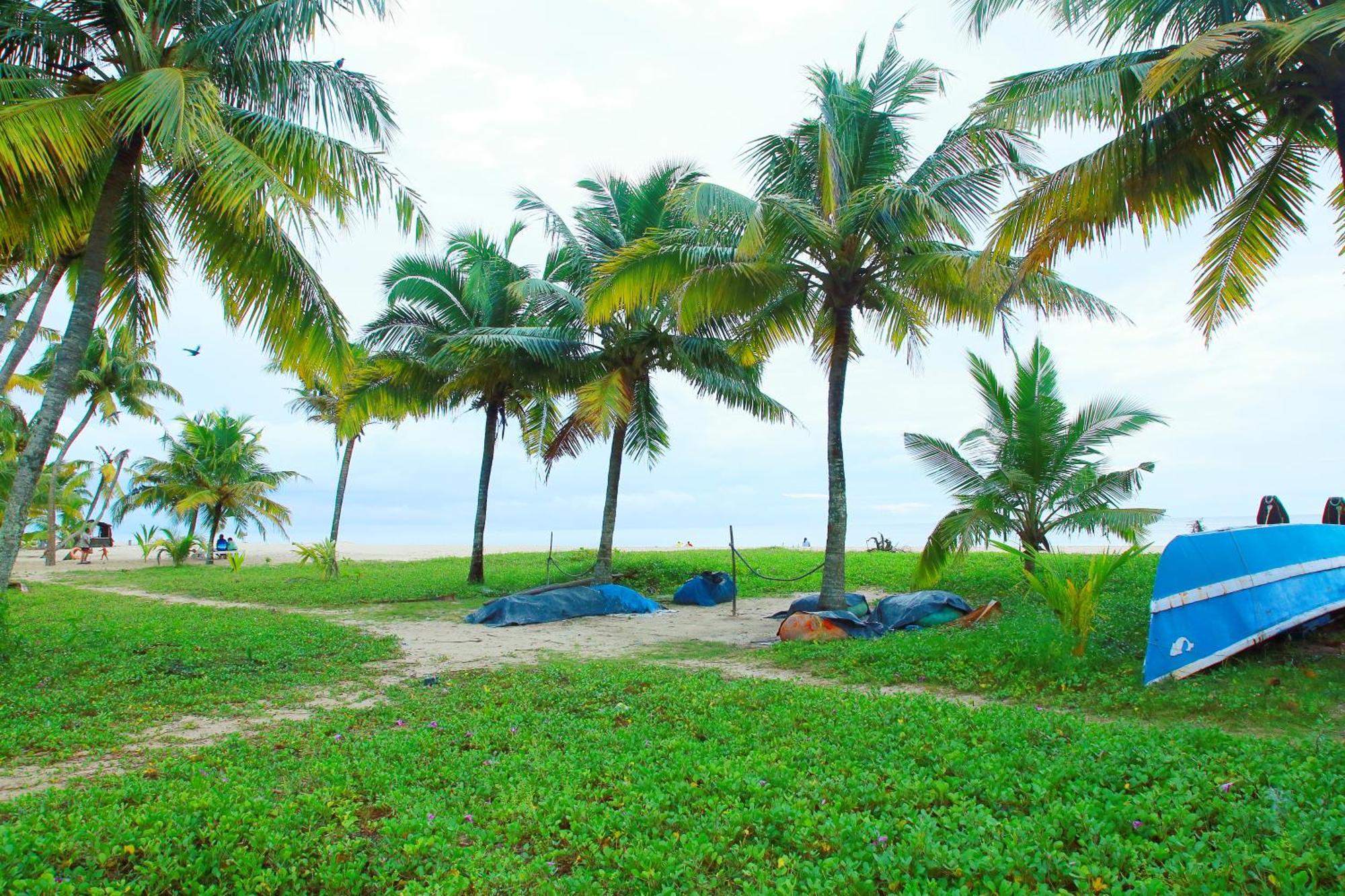 Marari Nest Beach Homestay Mararikulam Ngoại thất bức ảnh