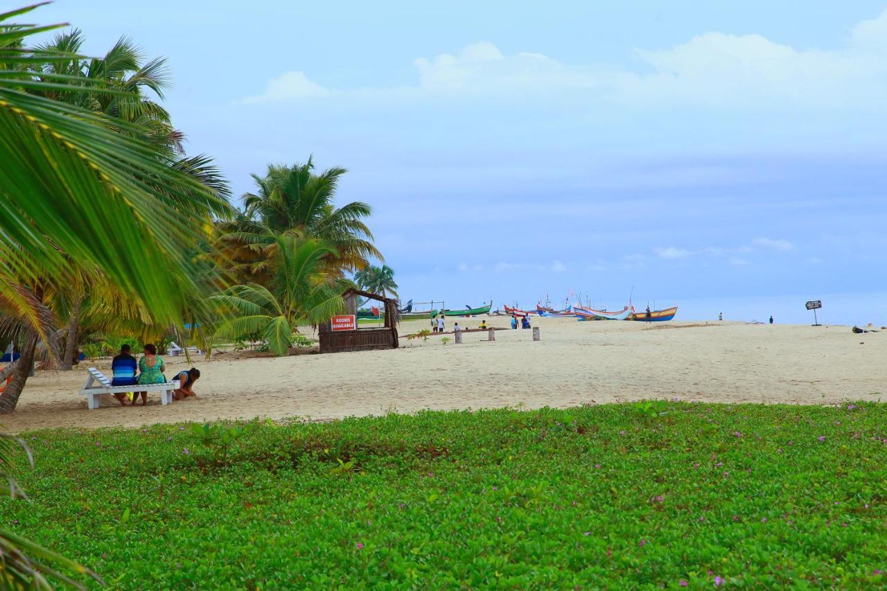 Marari Nest Beach Homestay Mararikulam Ngoại thất bức ảnh